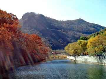 龙井茶跨境电商推广策略，助力中国茶文化走向全球市场