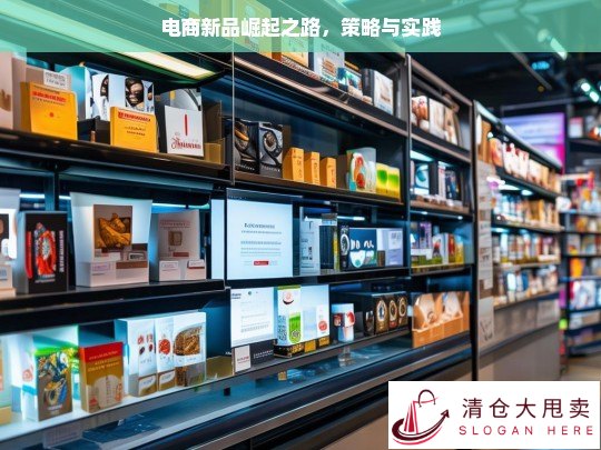 电商新品的崛起策略与实践探索