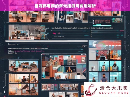 自媒体电商的多元维度及费用剖析