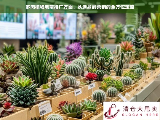 多肉植物电商推广全攻略，从选品到营销的完整策略解析